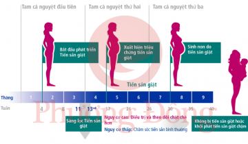 Điều trị tiền sản giật