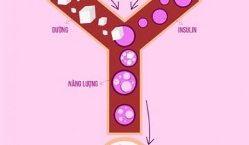 bệnh tiểu đường