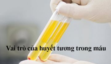 vai trò của huyết tương trong máu 